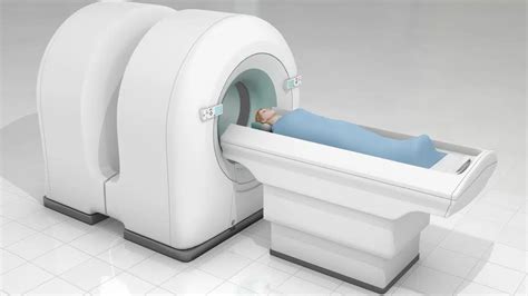 Does Medicare Cover PET Scans for Cancer: Exploring the Intersection of Healthcare and Feline Friends