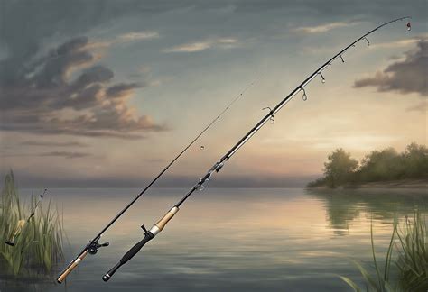 How to Set Up Fishing Rod: A Journey Through the Art of Angling